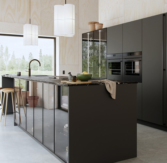 S19 Sort Svane Koekkenet (1)